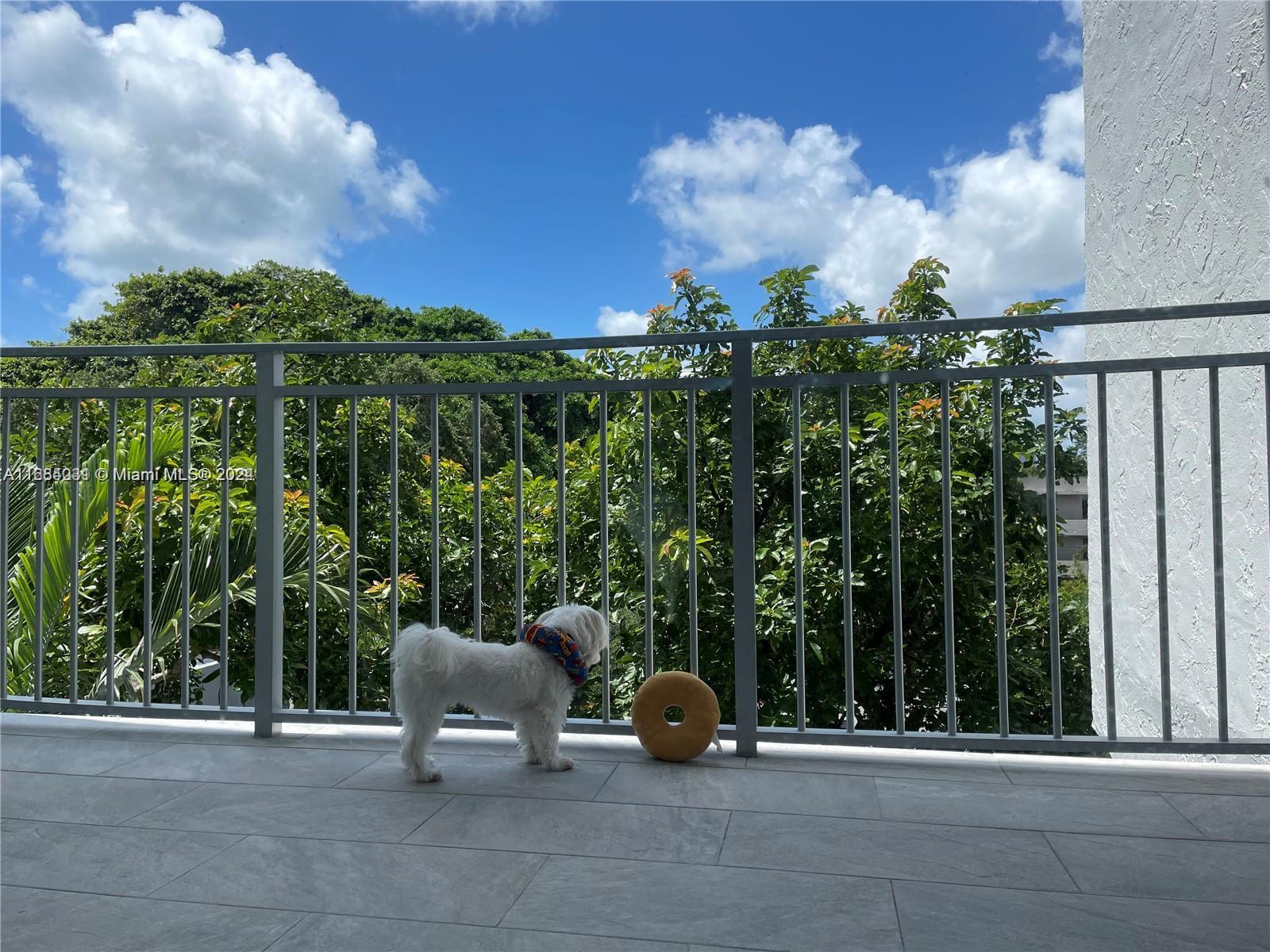 NIRVANA CONDO NO ONE COND - Residential