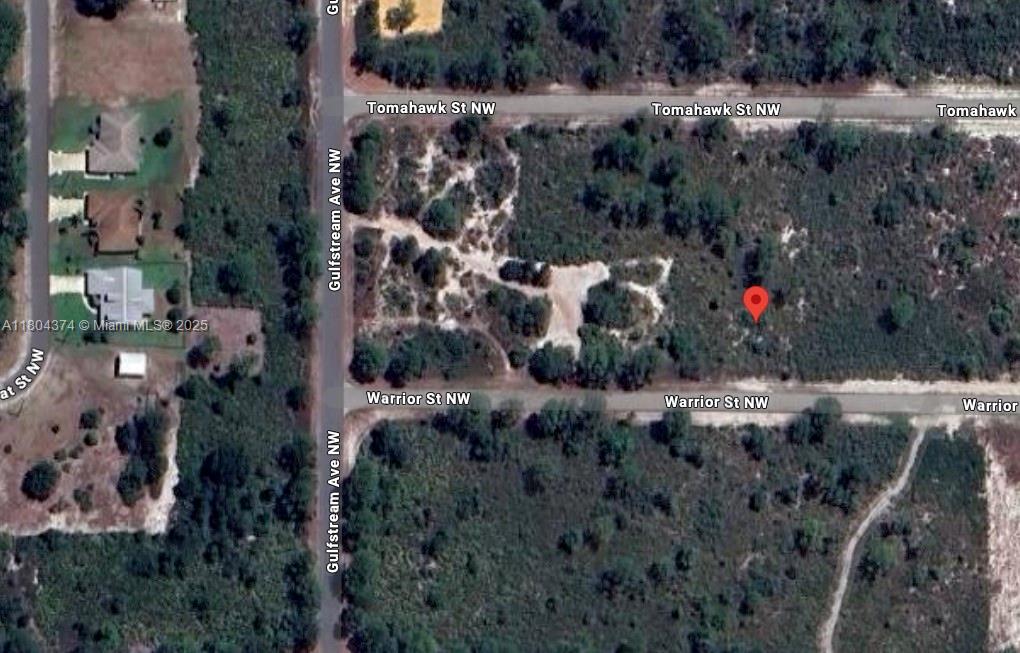 PLACID LAKES SEC 19 - Land