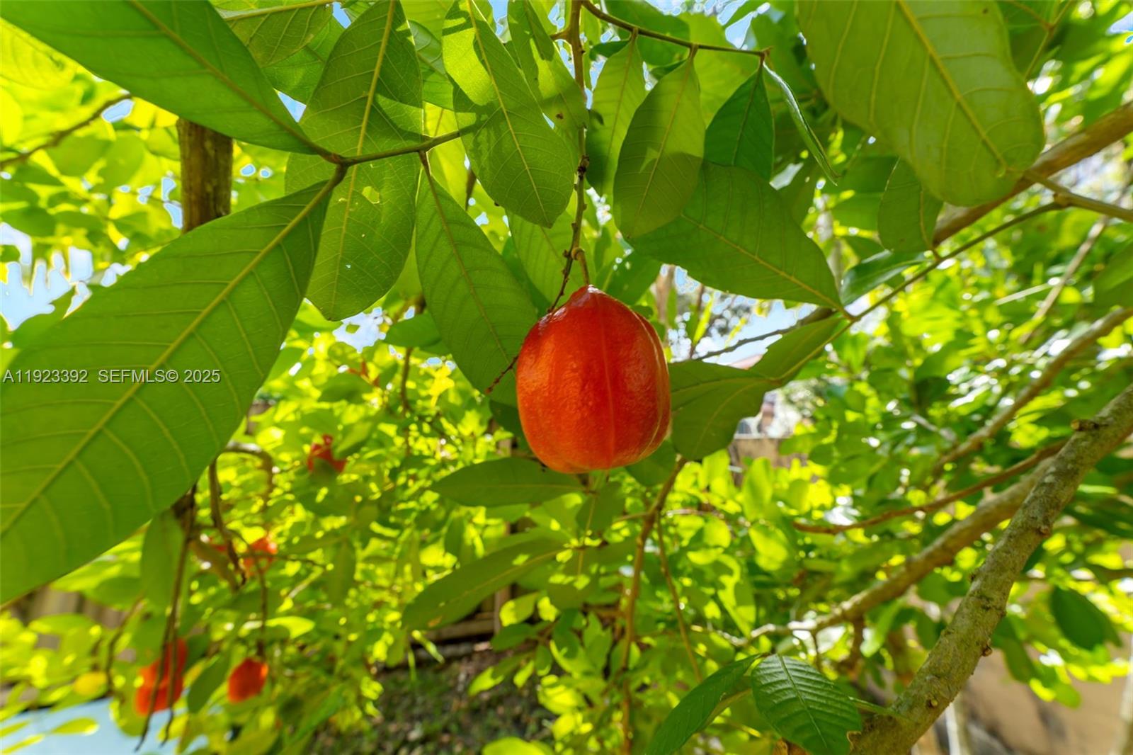 CHAPEL TRAIL II - Residential