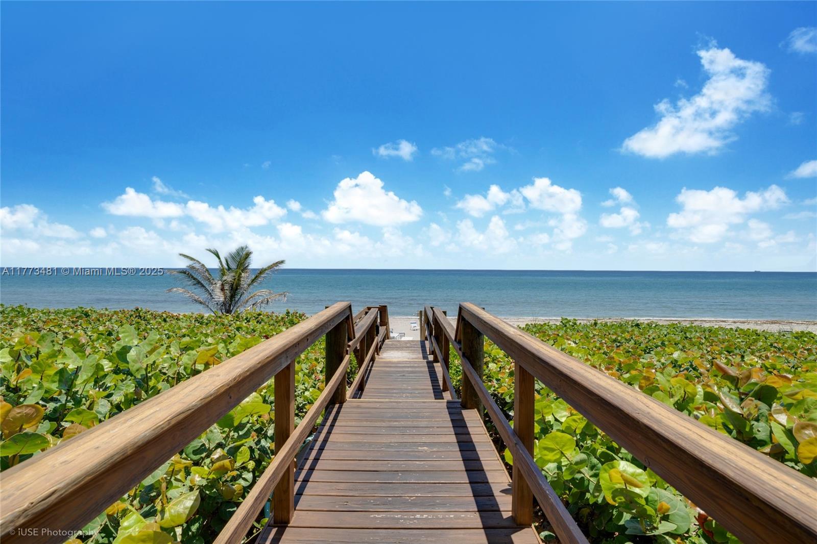BEACH WALK CONDO - Residential