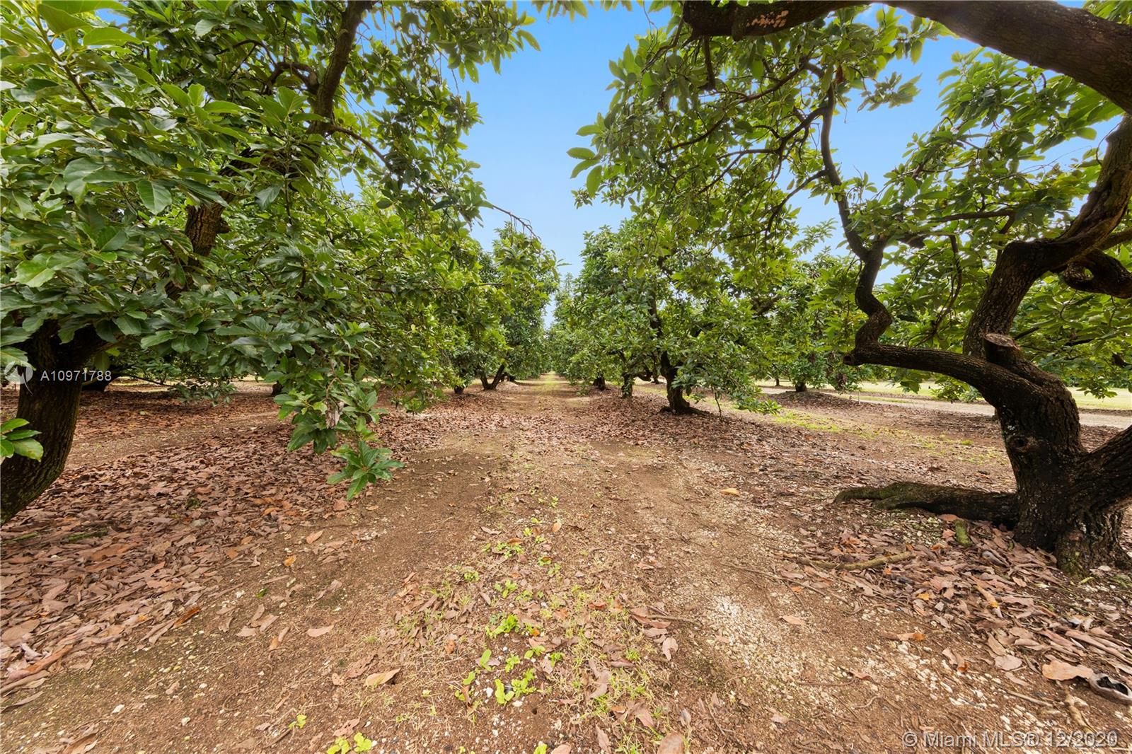 redland +-25 ACRES - Residential