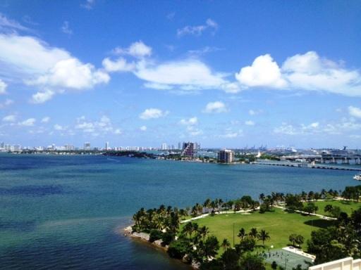 Furnished... Furnished... Brand new luxury waterfront condo. 1 bed. + Den (Den completed with closets and window) white marble floors, top of the line appliances to include wine cooler, sub zero refrigerator, etc... Amenities designed by Lenny Kravitz... No pets. Completely furnished.