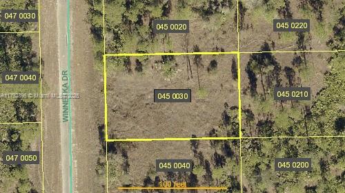 Beautiful .25 acre lot in Lehigh Acres FL, a constantly growing place where you can build the house of your dreams with a pool and plenty of space for the children to play.