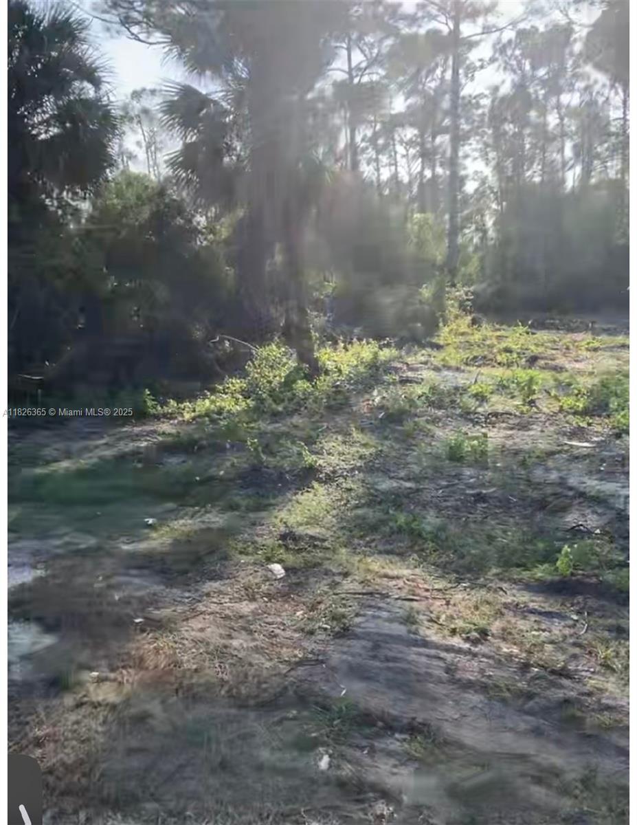 Island Of Happiness - Land