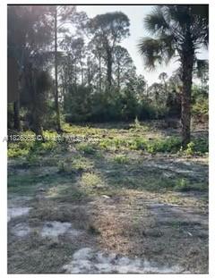 Build your dream home or invest in one of Lehigh Acres’ growing areas! Oversized 0.25-acre lot located in a quiet, developing neighborhood. Easy access to SR-82, shopping, schools, and Fort Myers. Paved road, no HOA, and great potential for appreciation. Don’t miss this opportunity—this lot won’t last!