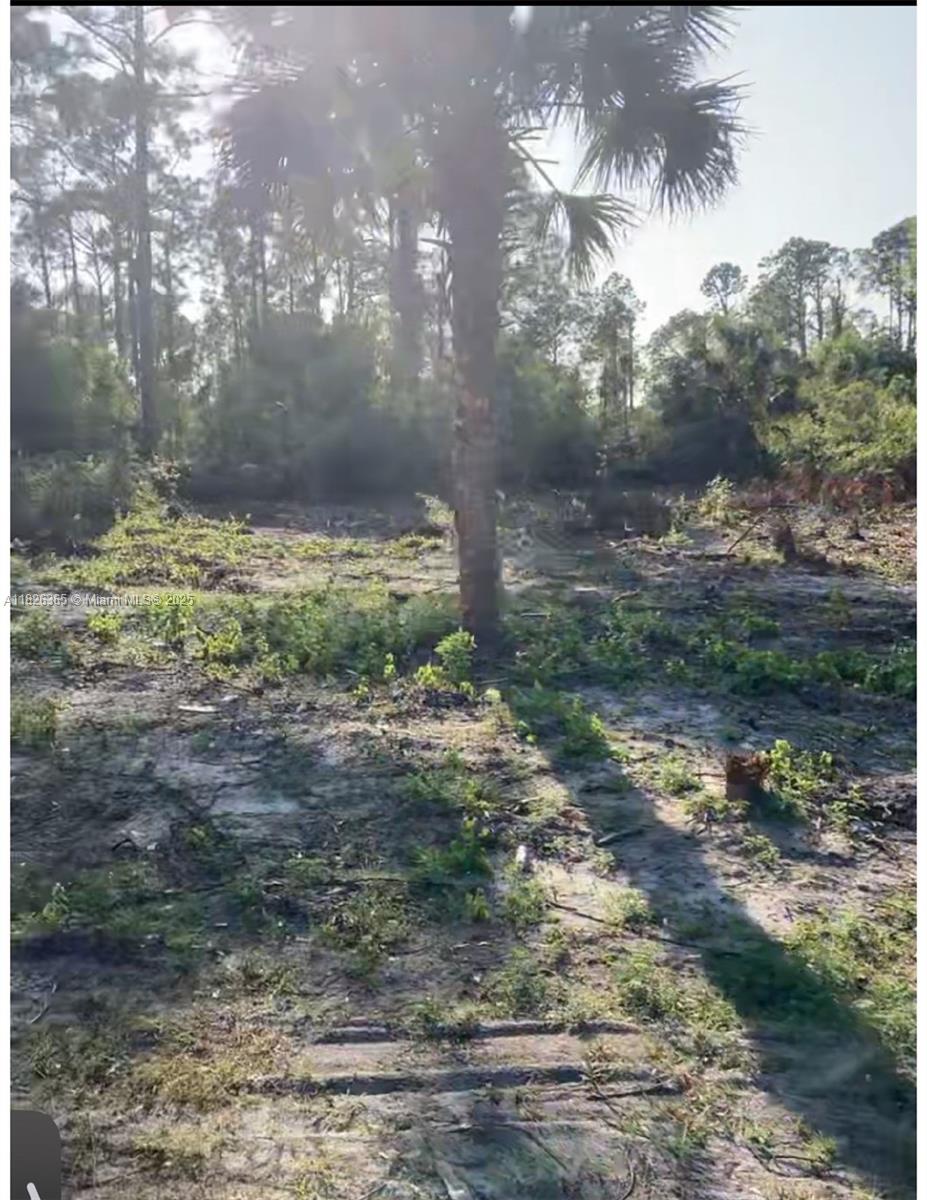 Island Of Happiness - Land