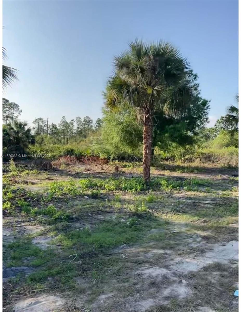 Island Of Happiness - Land