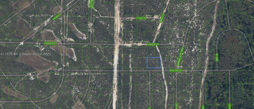 OWNER WILL FINANCE!!! HUGE DOUBLE LOT 1/2 ACRE. Wildlife preserve. great for 4X4's Camping etc. Restricted usage lot in Flamingo Gardens Subdivision. Access is through locked gate on Central Ave off of Kenilworth Blvd. OWNER WILL FINANCE!!! NO CREDIT NEEDED. $1,000 DOWN $274.81 PER MONTH FOR 36 MONTHS AT 7% INTREST.