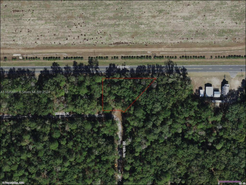 .52 ACRES. Great opportunity to build your dream home or buy and hold for appreciation in the peaceful county setting of Marion, FL. Zones residential. Seller also has another vacant residential lot available next to subject lot. Land prices are rising like never seen before. Solid investment for anyone looking to get into the real estate game with little start off capital.