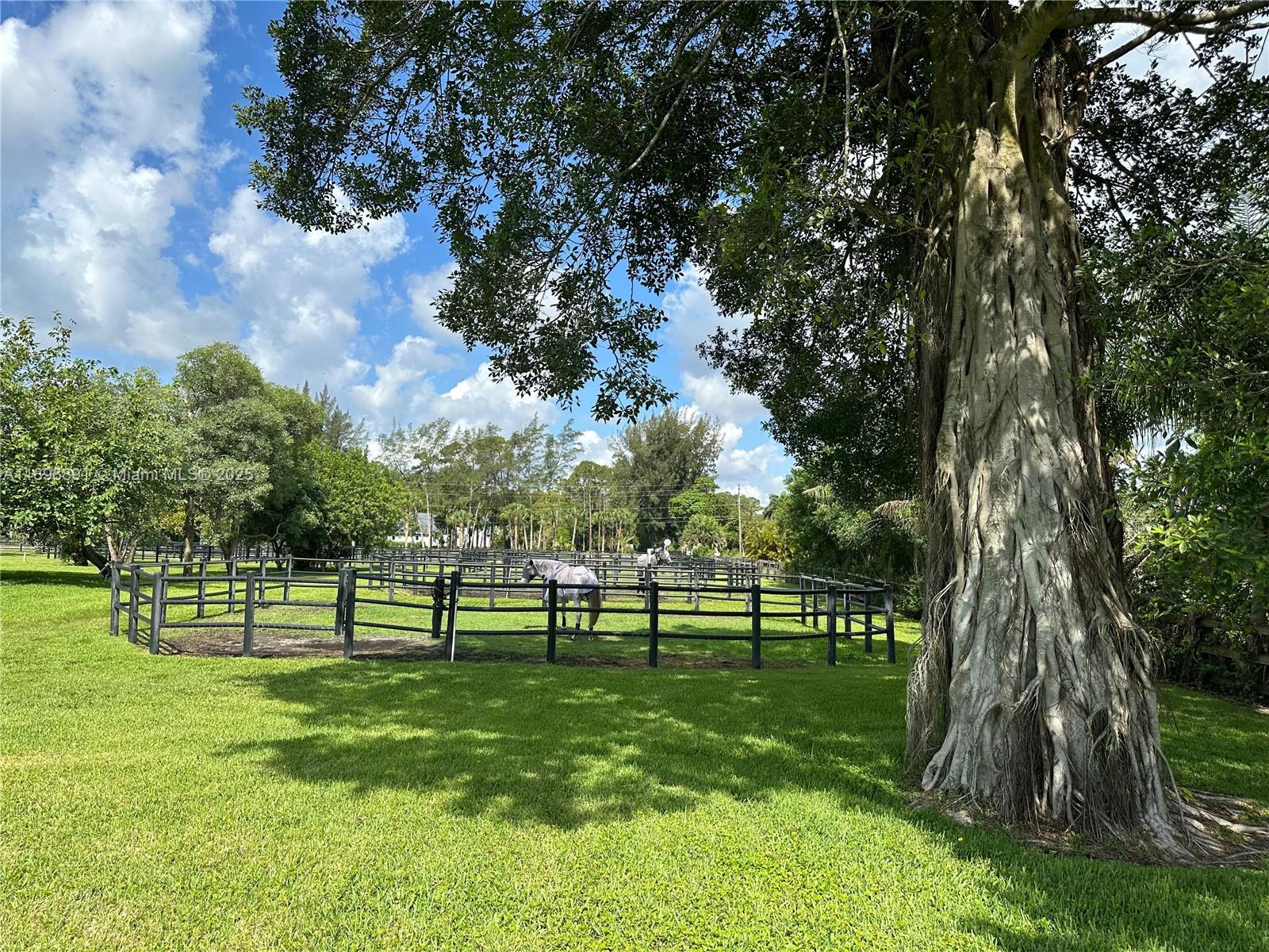 LOXAHATCHEE GROVES - Residential
