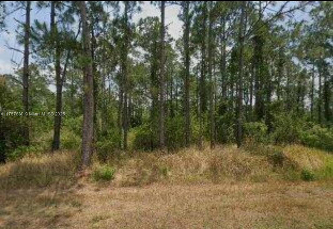 For Sale! Vacant residential lot in a growing community of Sun 'n Lake of Sebring. On a Paved road. This is a golfing community with two 18 hole championship golf courses, tennis, clubhouse, community center, and community pool. Buy for future investment or build your dream home. Close to Restaurants, Shopping, Schools, Hospital. Two more lot for sale A11757846, A11757851. Buy them separate or all 3 together.