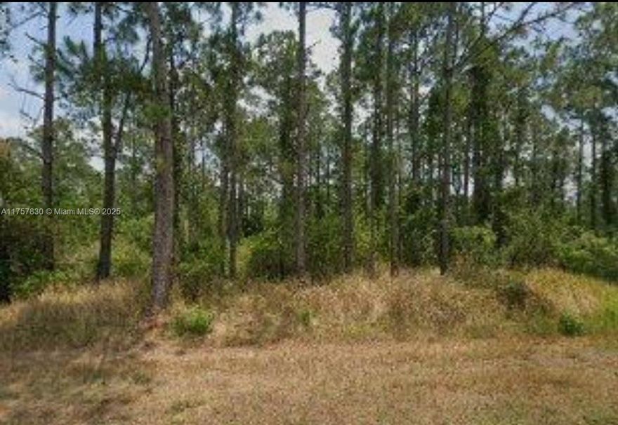 For Sale! Vacant residential lot in a growing community of Sun 'n Lake of Sebring. On a Paved road. This is a golfing community with two 18 hole championship golf courses, tennis, clubhouse, community center, and community pool. Buy for future investment or build your dream home. Close to Restaurants, Shopping, Schools, Hospital. Two more lot for sale A11757846, A11757851. Buy them separate or all 3 together.