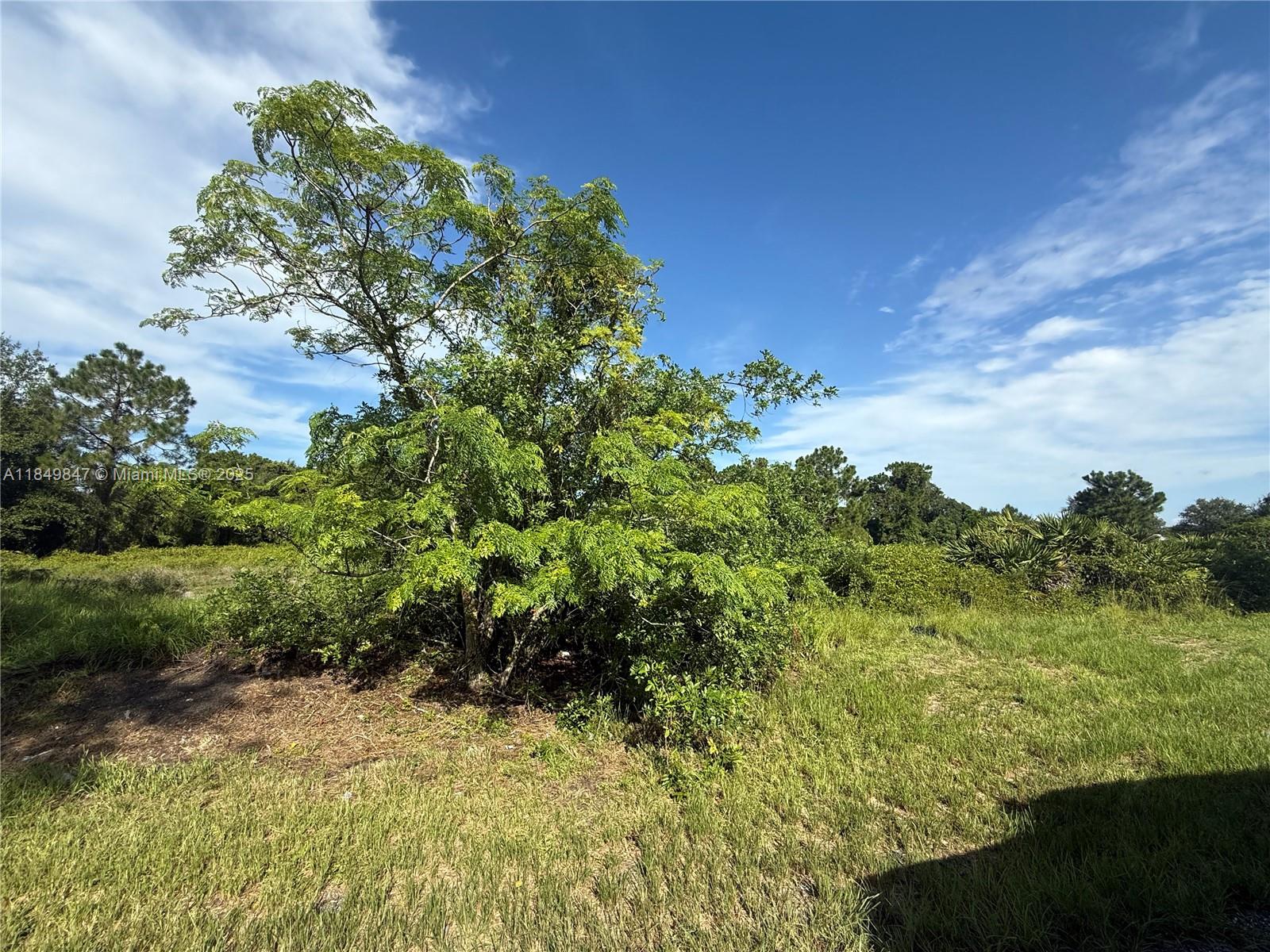 1.04 ACRES AT THE NORTH OF MONTURA RANCH ESTATES, CAMINO REAL & PALOMINO ST ST! CLEARED, HIGH AND DRY LOT ! PRICE TO SELL FAST!! BEST OPTION IN THE MARKET! NO WETLAND! GREAT INVESTMENT OPPORTUNITY! YOU CAN BUILD YOUR DREAM HOUSE OR INSTALL YOUR MOBILE HOME ENDLESS POSSIBILITIES!!! YOU CAN HAVE YOUR WEEKEND GETAWAY FROM THE CITY, JUST 65 MILES FROM WESTON, 90 MILES FROM MIAMI, YOU CAN HAVE YOUR FARM ANIMALS AND ENJOY THE CAMP STYLE OF MONTURA RANCH ESTATE YOU CAN GO DIRECTLY TO THE PROPERTY AND CALL ME OR TEXT ME IF YOU NEED ANY EXTRA INFORMATION