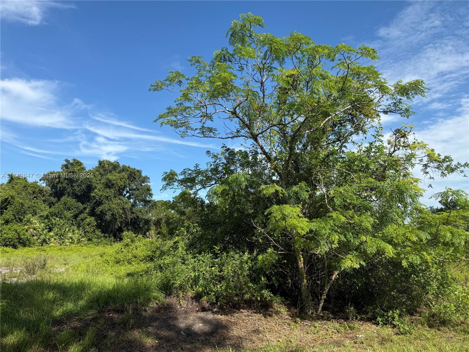 MONTURA RANCH ESTATES - Land