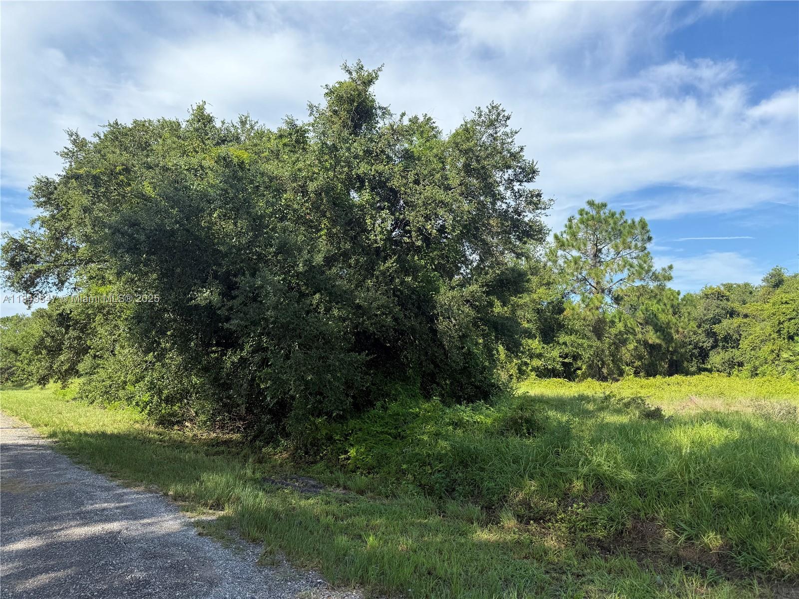 MONTURA RANCH ESTATES - Land