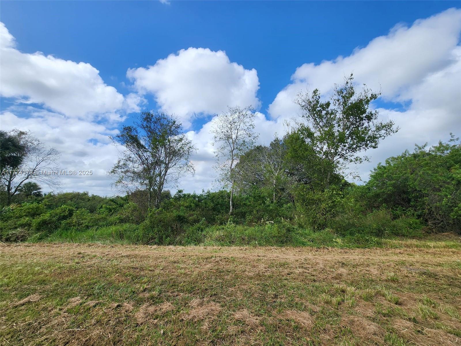 Discover the potential of this remarkable 1.25-acre vacant land lot in the desirable Clewiston area. This prime property invites you to turn your dreams into reality—whether it means building a residence, making a smart investment, or creating a serene retreat. The location offers endless possibilities! Enjoy the charm of nature, as this property provides a perfect blend of tranquility and convenience. Don’t miss your chance to own a piece of paradise in Clewiston! Montura grants exclusive access to a private reservoir for landowners, ideal for horseback riding, camping, fishing, and hunting. The community features a clubhouse with a pool, parks, playgrounds, and basketball courts. Plus, with no HOA, your vision can truly flourish! A survey is included for your convenience. CASH ONLY!
