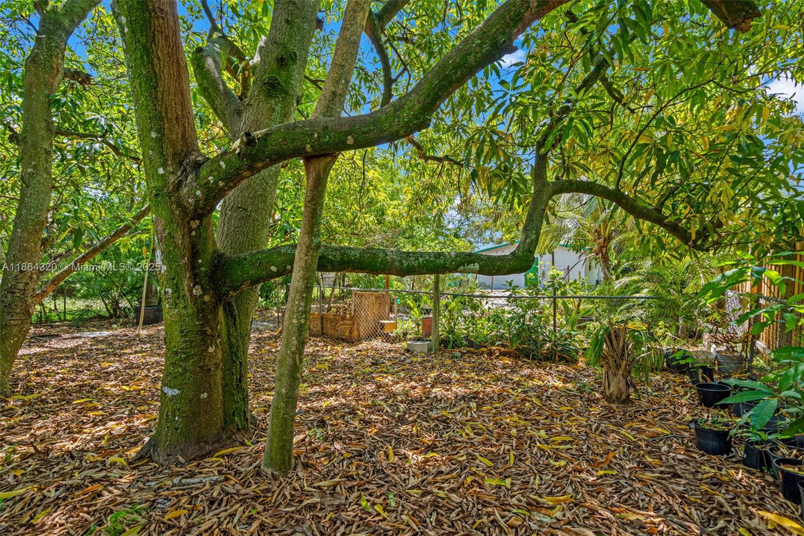 NORTH WEST LAUDERDALE - Residential