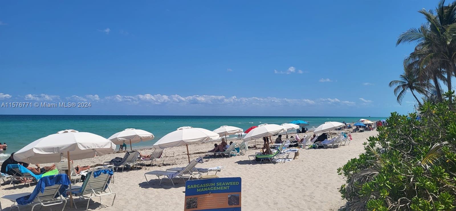 2080 OCEAN DRIVE CONDO - Residential