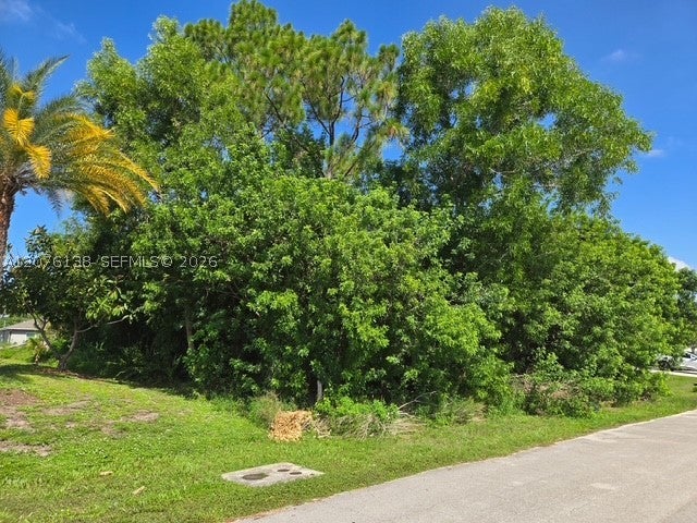 Photo of 166 SW Milburn Cir, Port St Lucie, FL 34953 (MLS # A12076138)