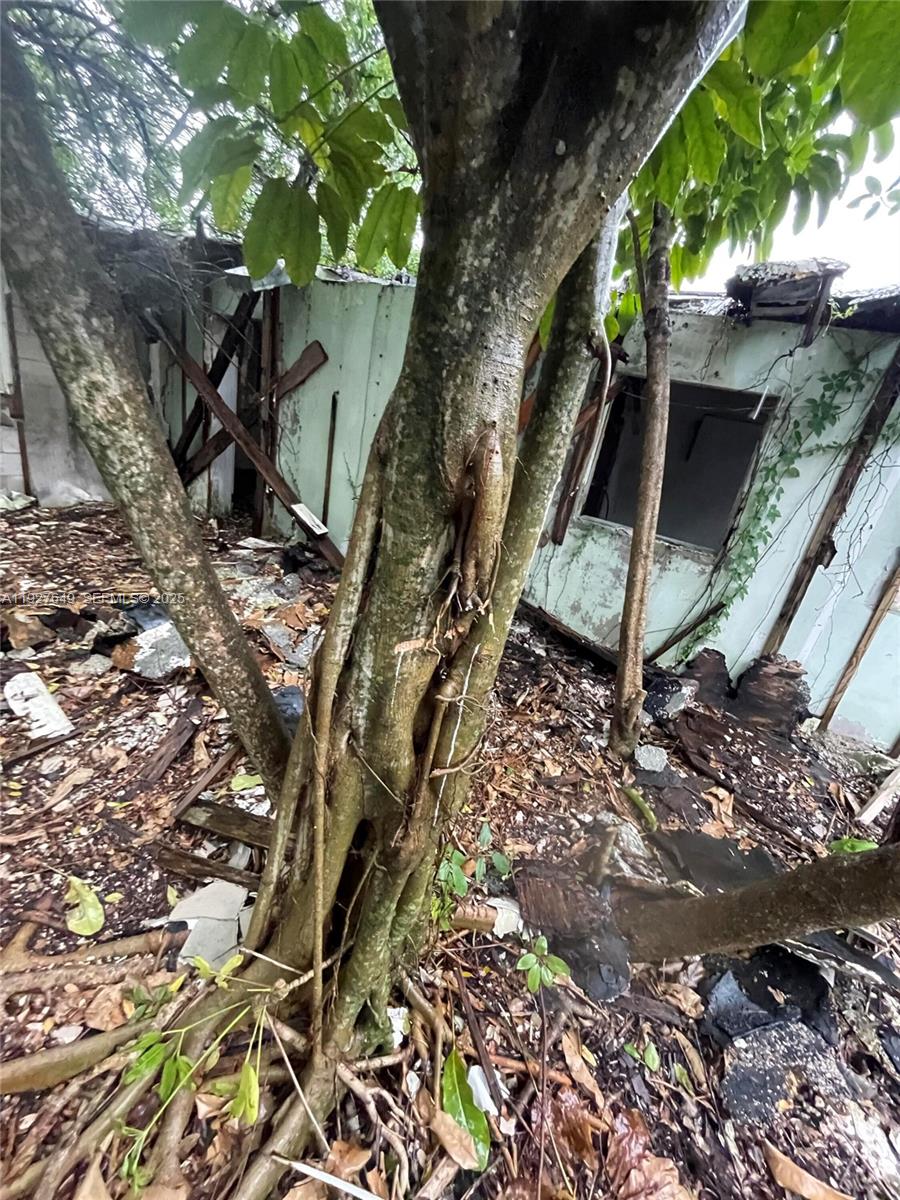 FOREST PARK - Residential