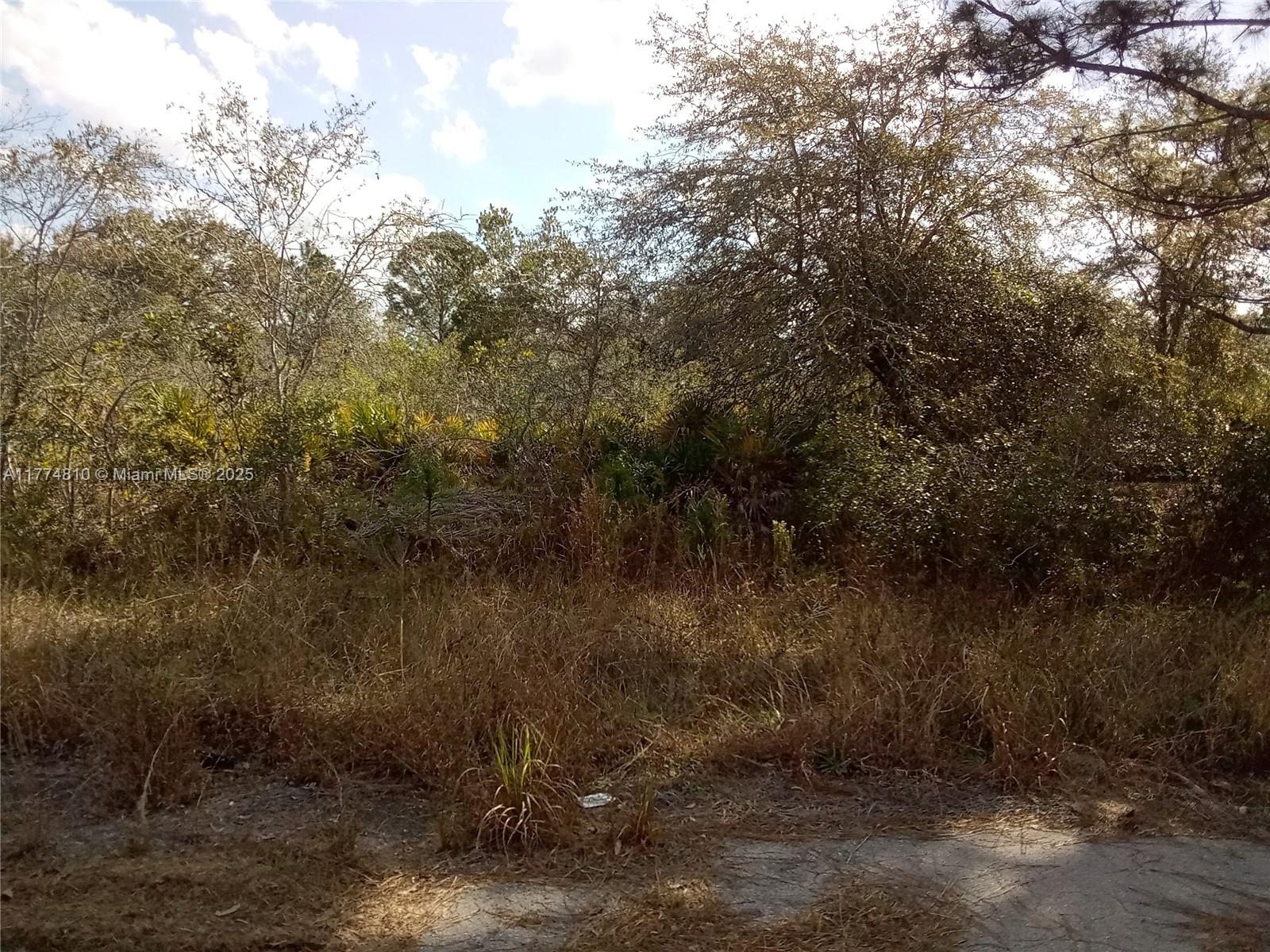Placid lake Subdivision - Land