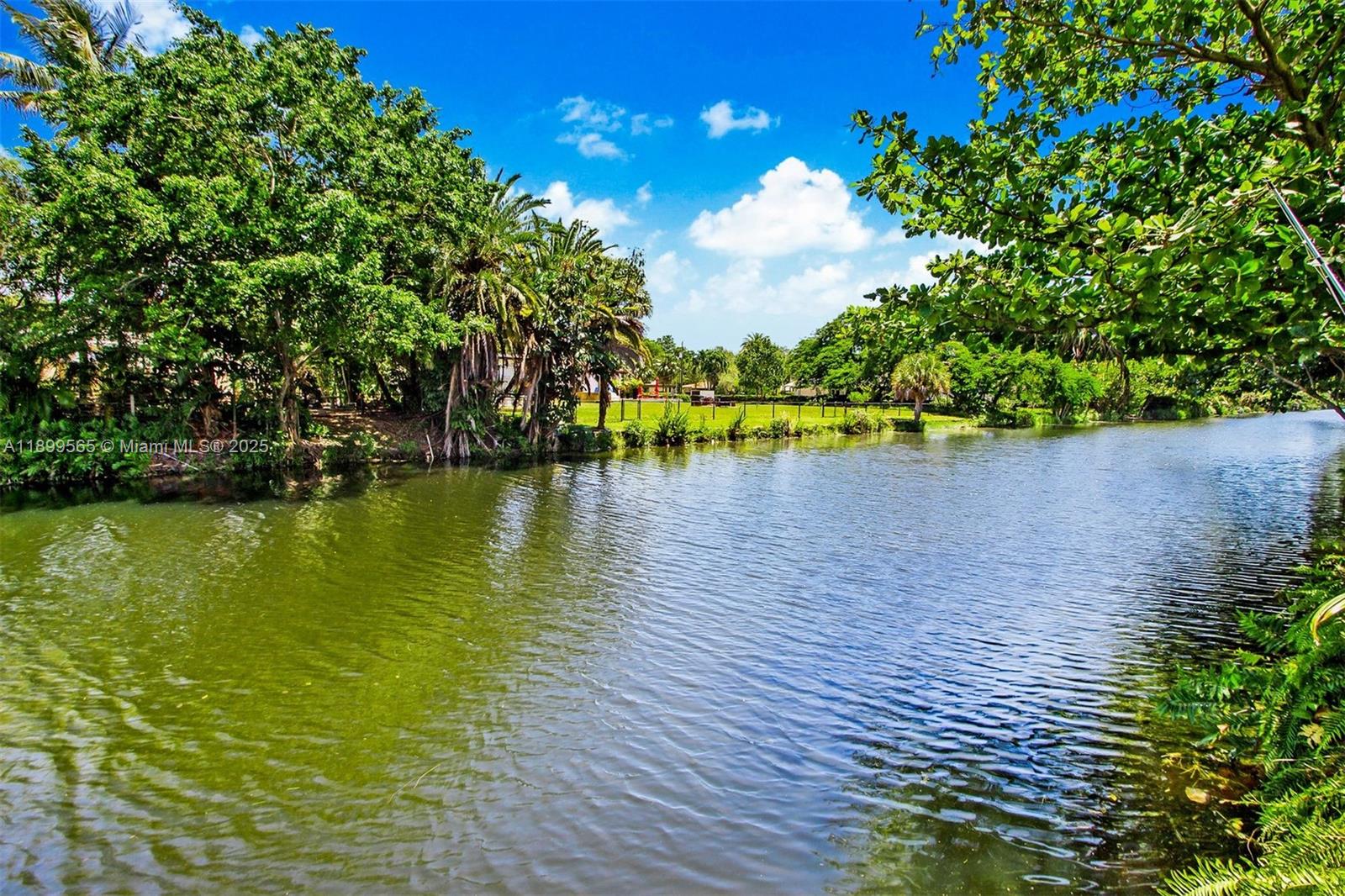 BELLEVUE BISCAYNE - Residential