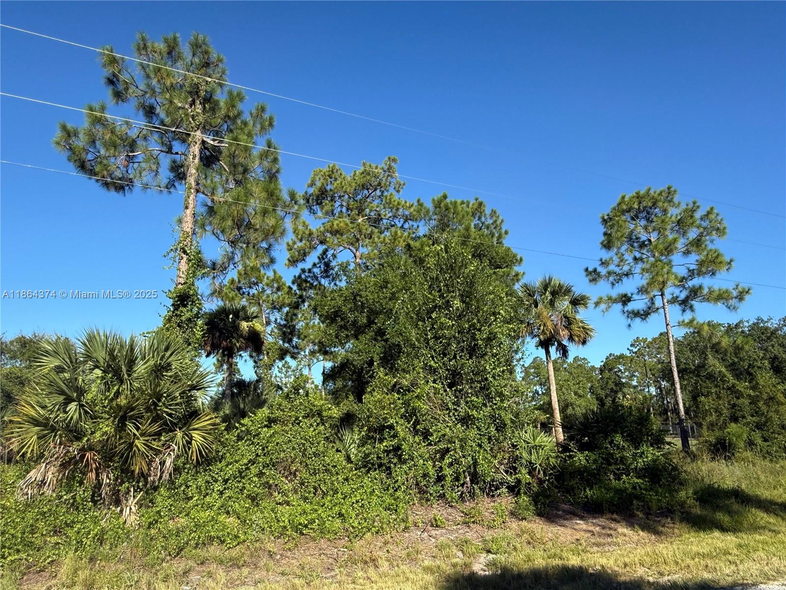 1.25 ACRES WELL LOCATED AT MONTURA RANCH ESTATES! HIGH & DRY LOT! BOTH SIDES NEIGHBORS HAVE FENCE ALREADY PRICE TO SELL FAST!! BEST OPTION IN THE MARKET! NO WETLAND! CLEAN TITLE!! GREAT INVESTMENT OPPORTUNITY! YOU CAN BUILD YOUR DREAM HOUSE OR INSTALL YOUR MOBILE HOME ENDLESS POSSIBILITIES!!! YOU CAN HAVE YOUR WEEKEND GETAWAY FROM THE CITY, JUST 65 MILES FROM WESTON, 90 MILES FROM MIAMI, YOU CAN HAVE YOUR FARM ANIMALS AND ENJOY THE CAMP STYLE OF MONTURA RANCH ESTATE YOU CAN GO DIRECTLY TO THE PROPERTY AND CALL ME OR TEXT ME IF YOU NEED ANY EXTRA INFORMATION