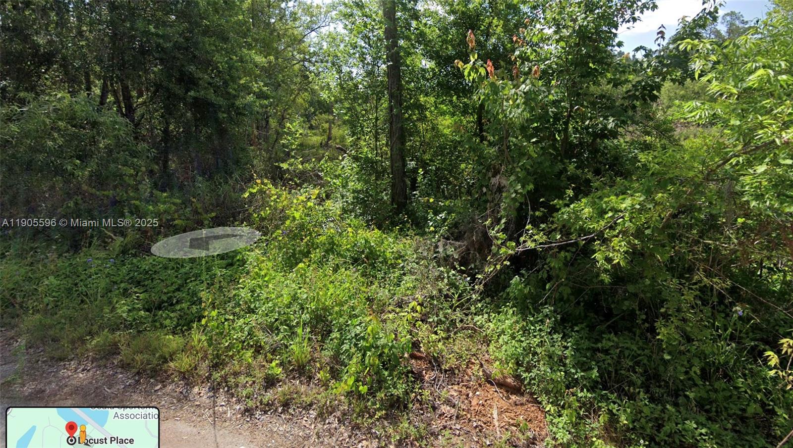 SILVER SPRINGS SHORES #51 - Land