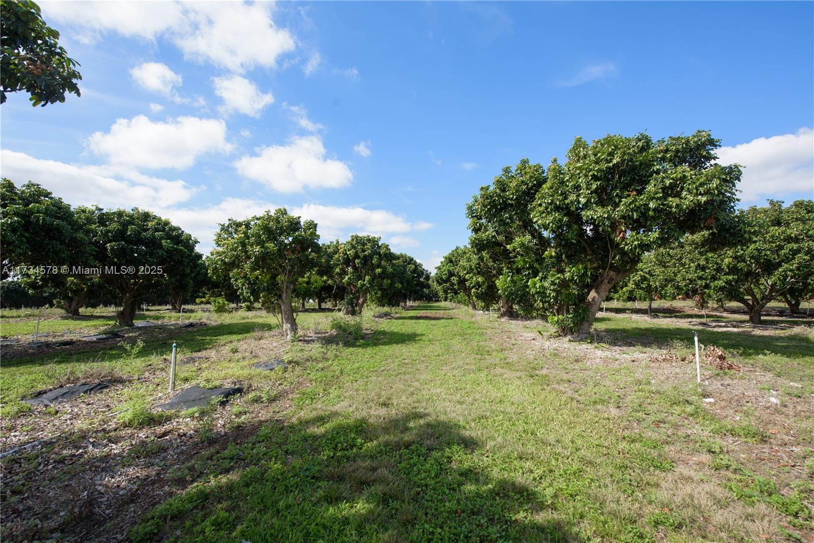 South Redland - Land