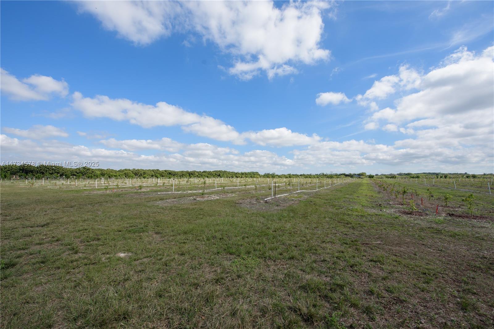 South Redland - Land