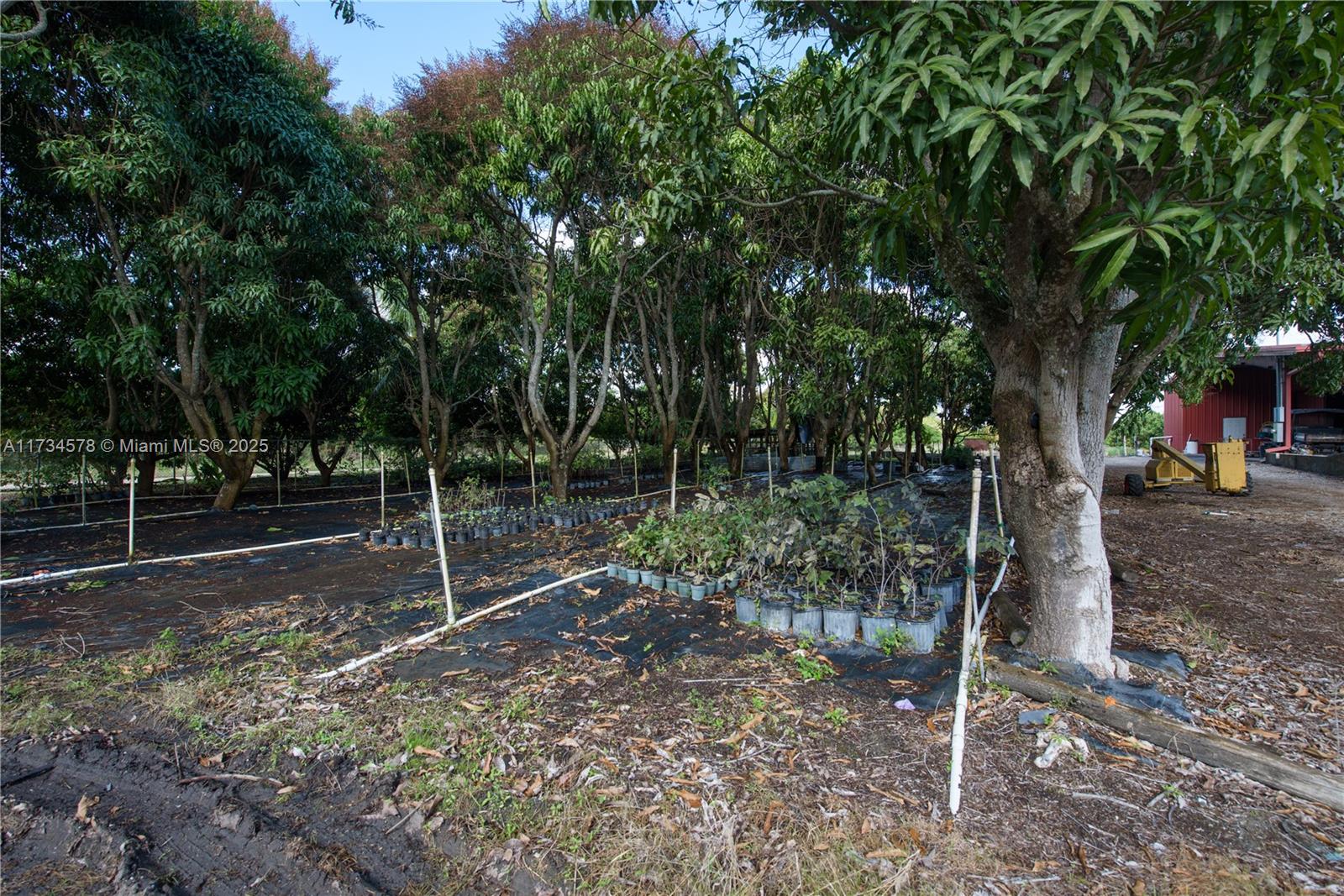 South Redland - Land