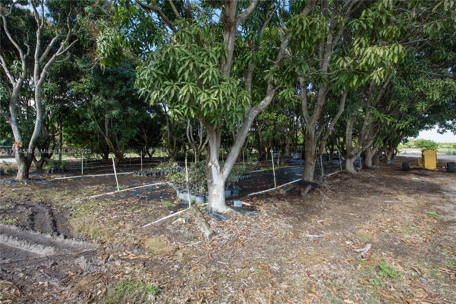 South Redland - Land