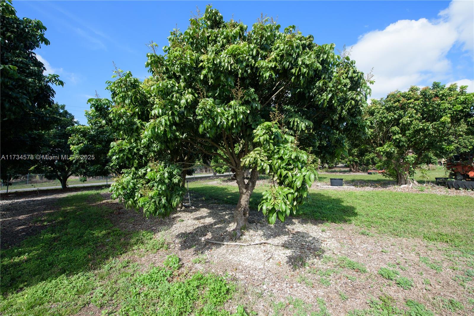 South Redland - Land