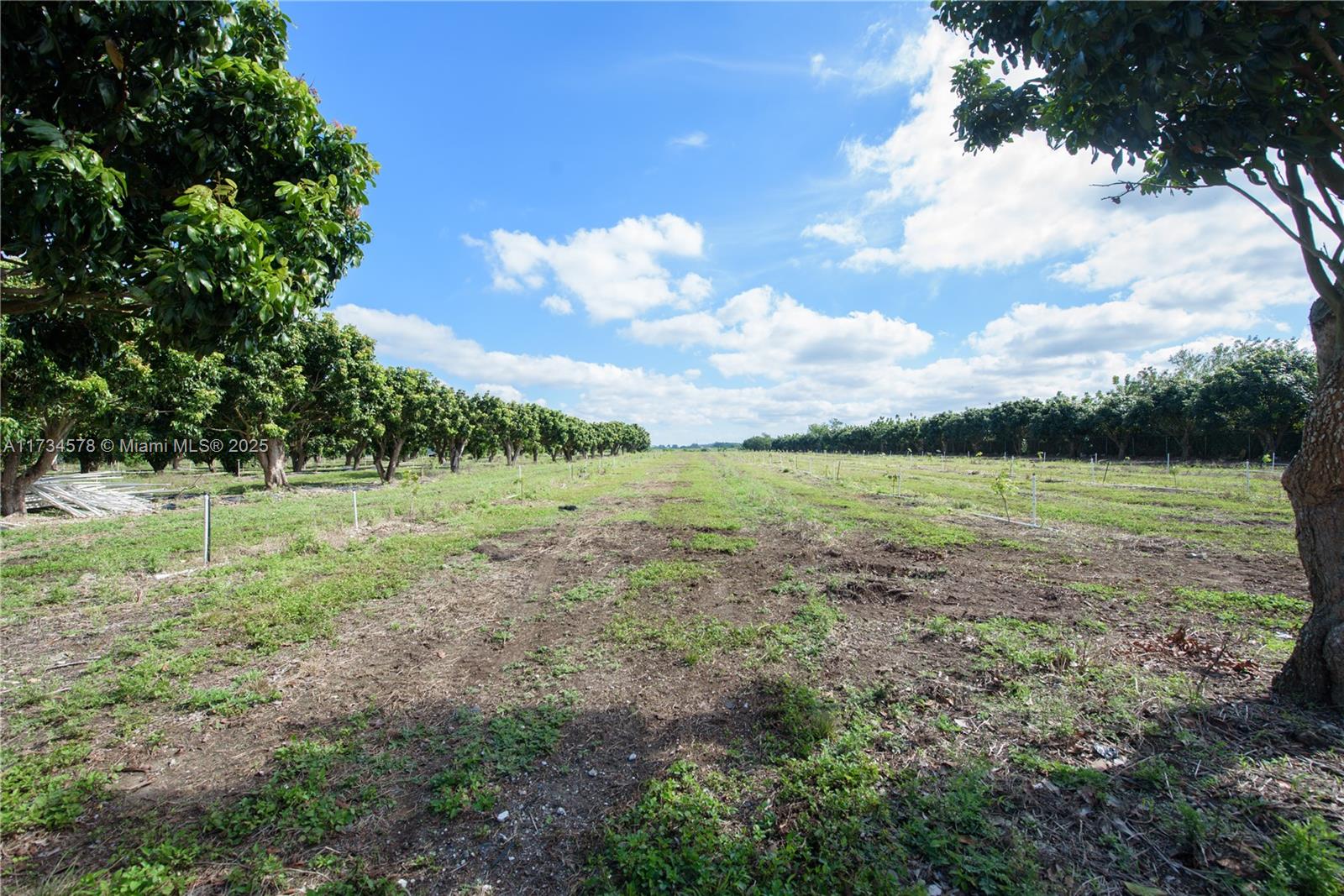 South Redland - Land