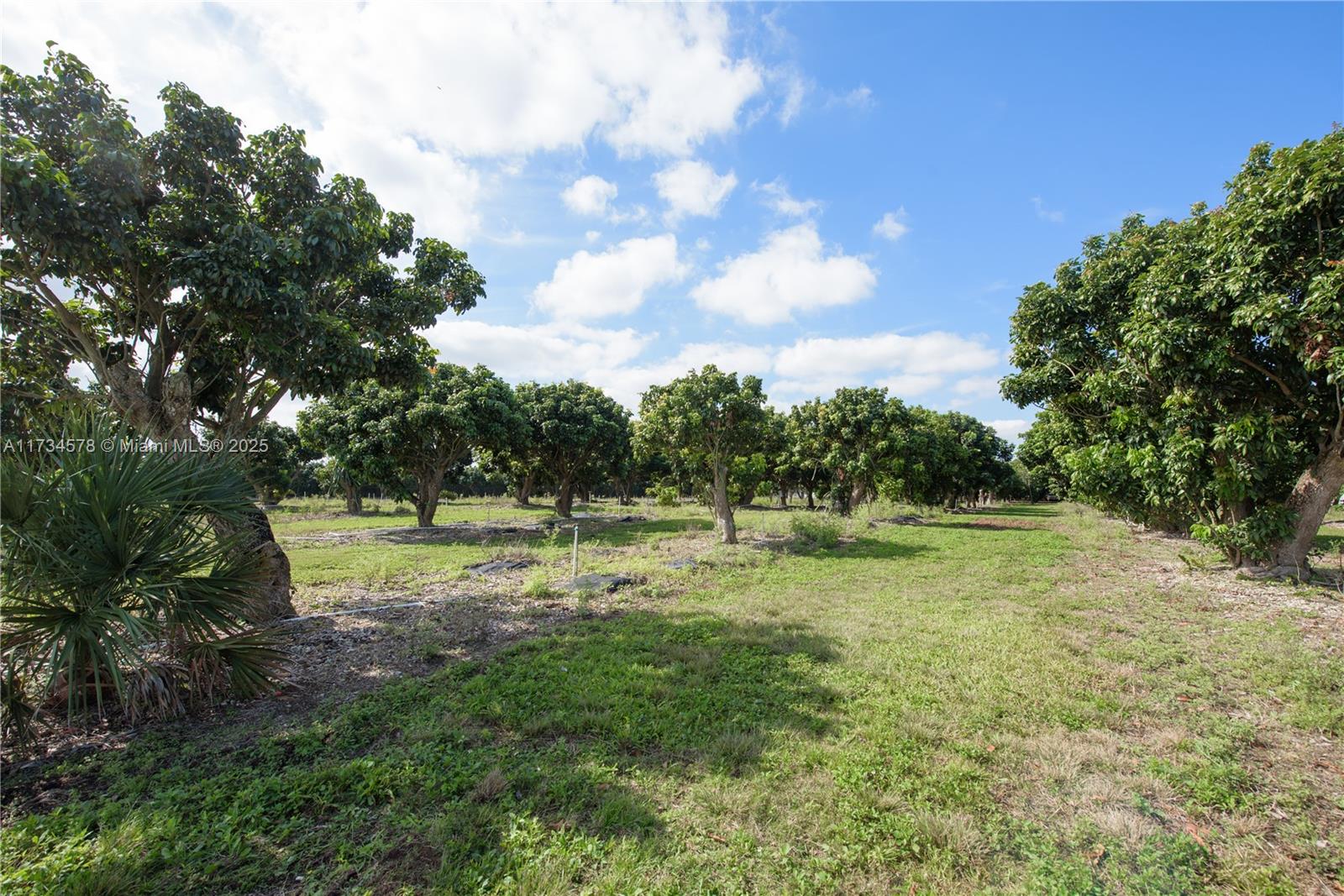 South Redland - Land