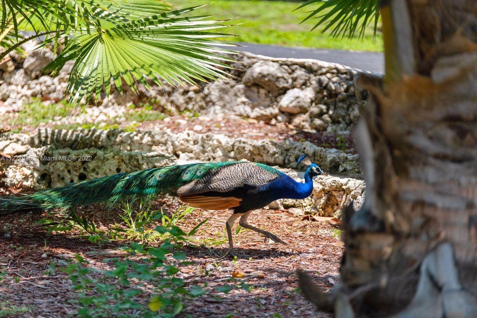 Misc. Plantation Key - Residential