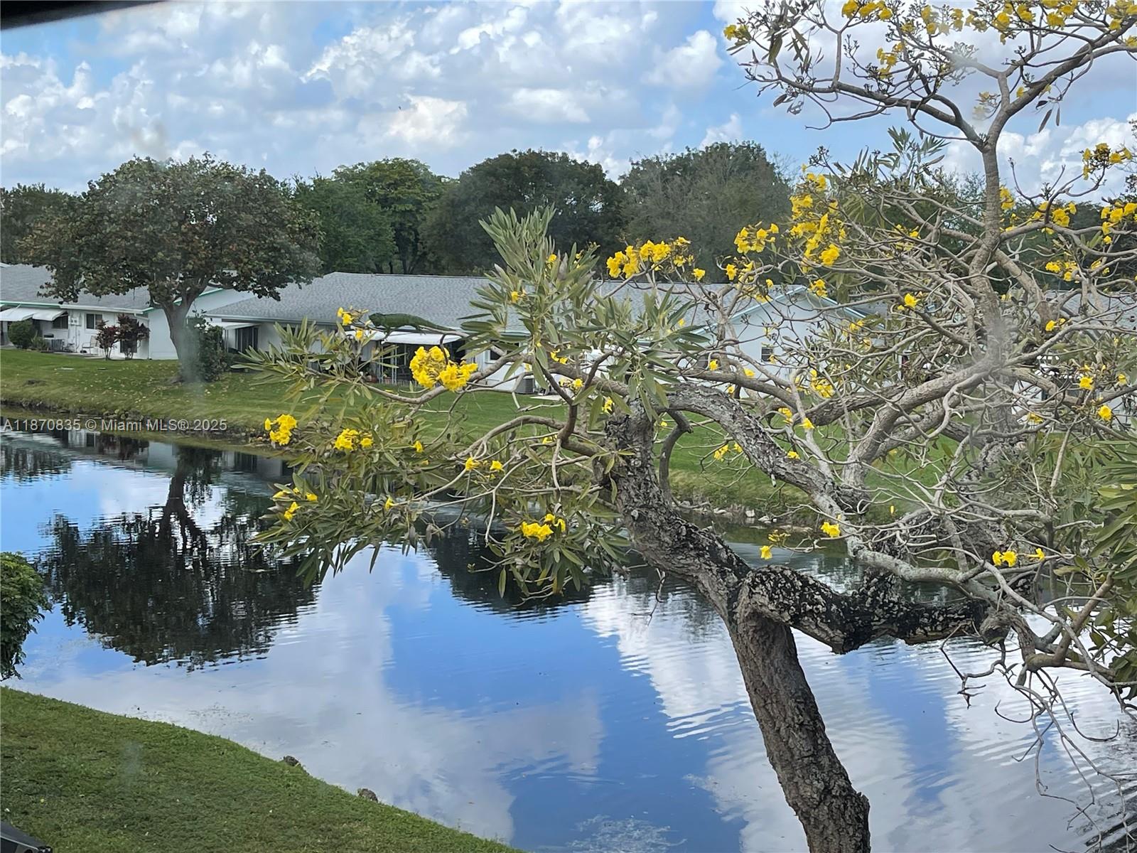 TOWNHOUSES AT JACARANDA - Residential