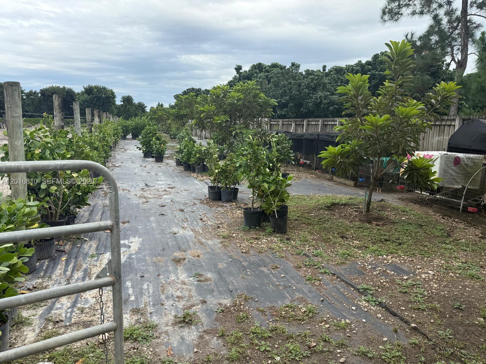 Redland - Residential