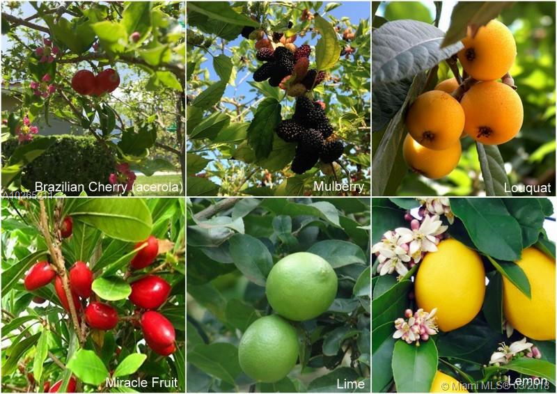 HIGHLAND LAKES SEC 3 - Residential