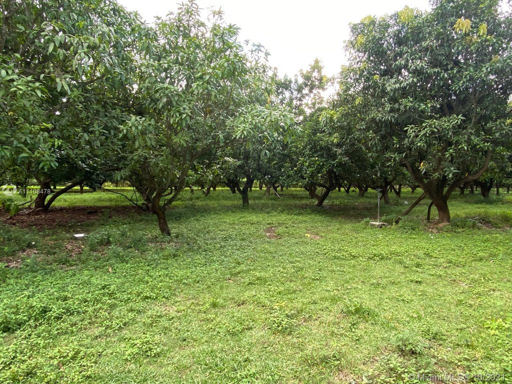 listing image 26