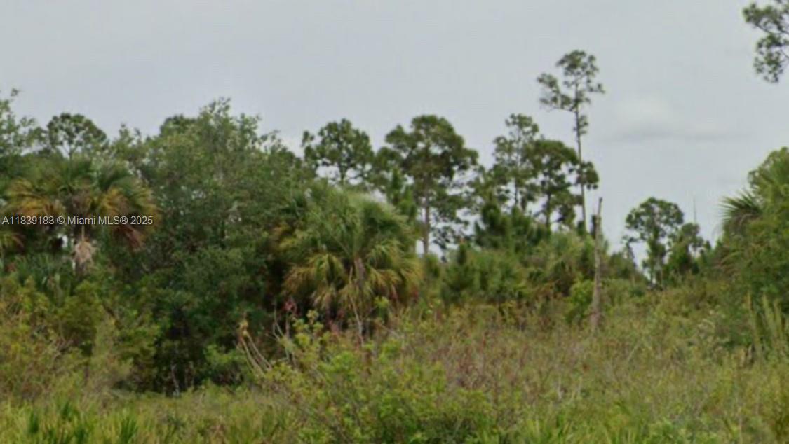 Prime ½-acre vacant lot in Lehigh Acres!
Build your dream home on this large, rectilinear parcel conveniently located near schools, shopping, dining, and parks. Positioned in a serene, non-gated neighborhood, the lot is high-and-dry and ready for your custom design—including space for a pool or expanded yard. With easy access to SR-80 and Joel Blvd, this is the opportunity you’ve been waiting for—act now before it’s gone!