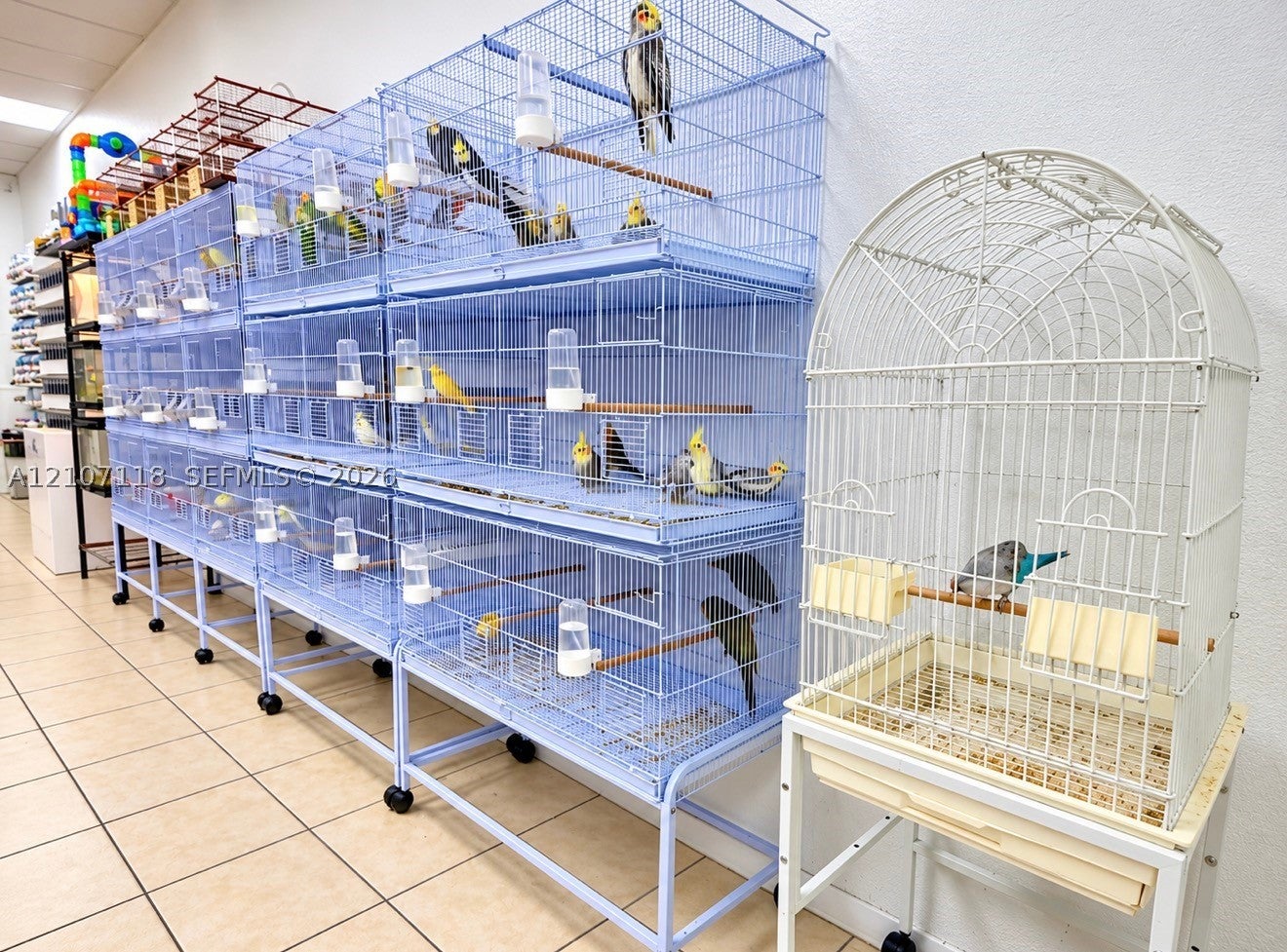 Established Pet Shop for Sale – Hialeah, FL
