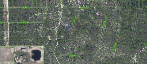 431 Lucille Lane Lake Placid FL 33852