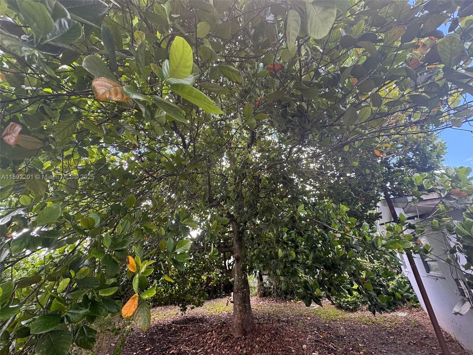 GREEN HILLS SEC 2 - Residential