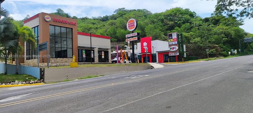 Plaza is strategically positioned at a key intersection in Nicoya, Guanacaste Costa Rica, serving as the crossroad for mayor routes that attract both tourists and locals traveling to the region's top destinations, inclouding its renowned beaches. This prime location ensures high visibility and continuous traffic flow. The plaza boasts a strong tenant mix, including BAC San Jose - one of Latin America's leading banks - Burger King, POPs and the government office of the Ministry of Education, among others. All tenants hold long-term leases. making this an exceptional investment opportunity with great returns in a high demand area.