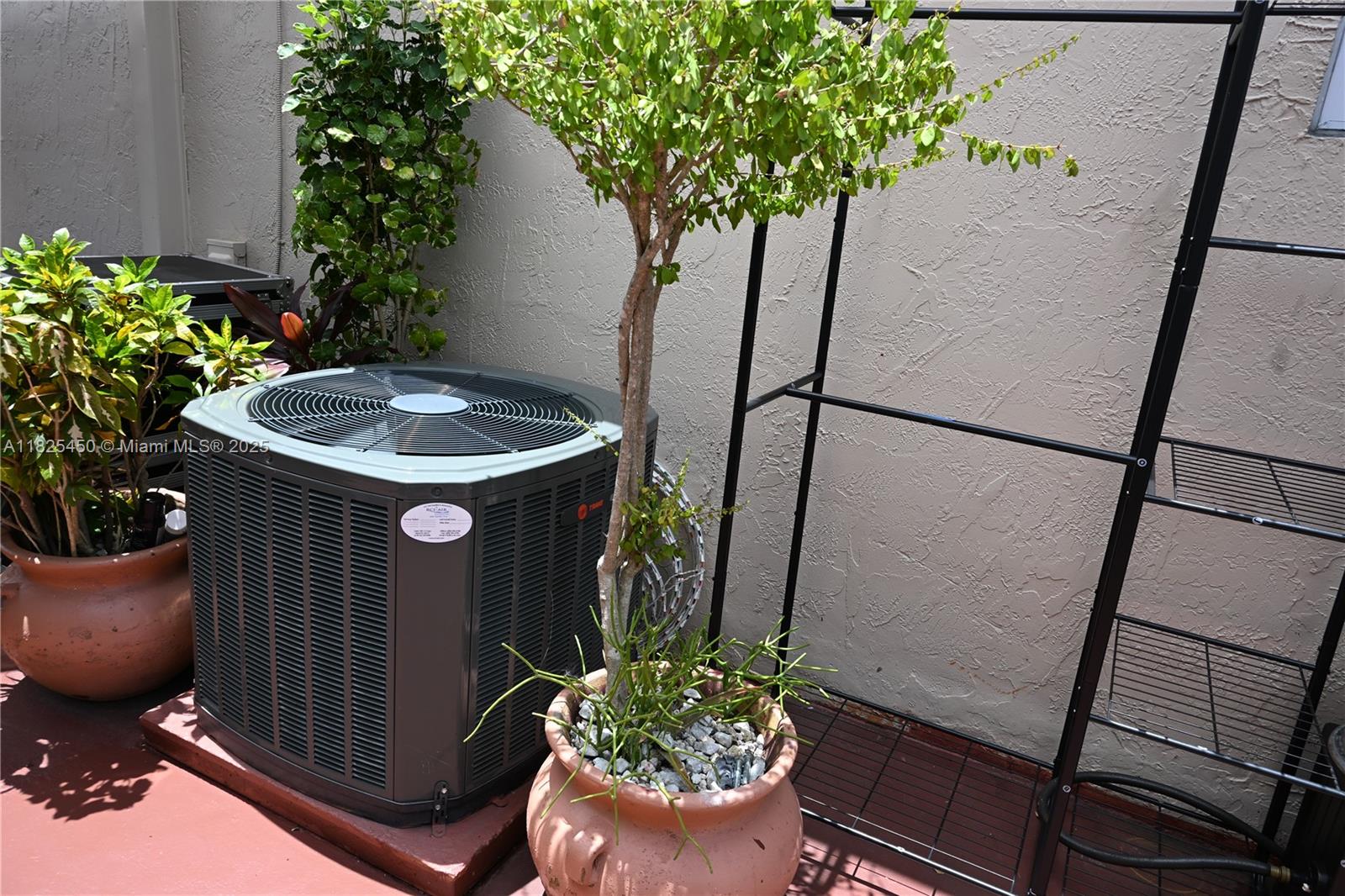 GRAPEVINE - Residential