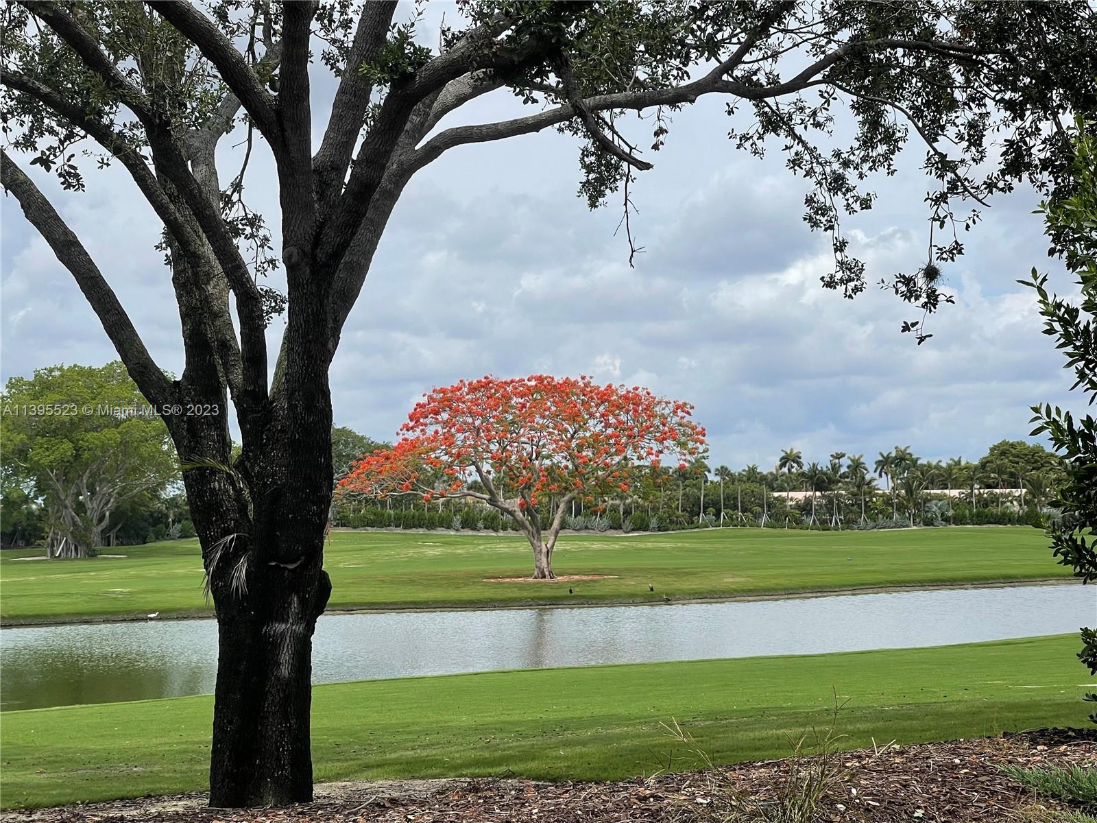 DIPLOMAT GOLF ESTATES - Residential