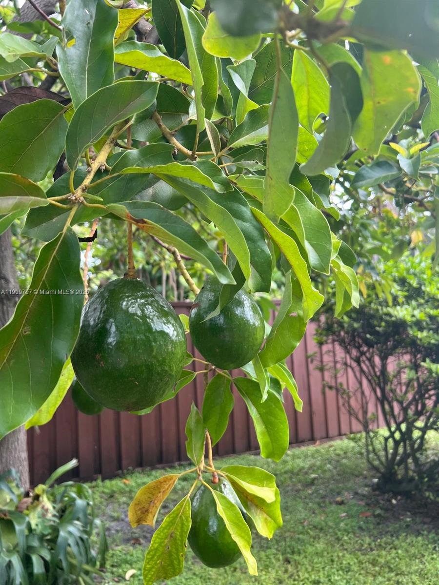 HOLLYWOOD HILLS - Residential Lease