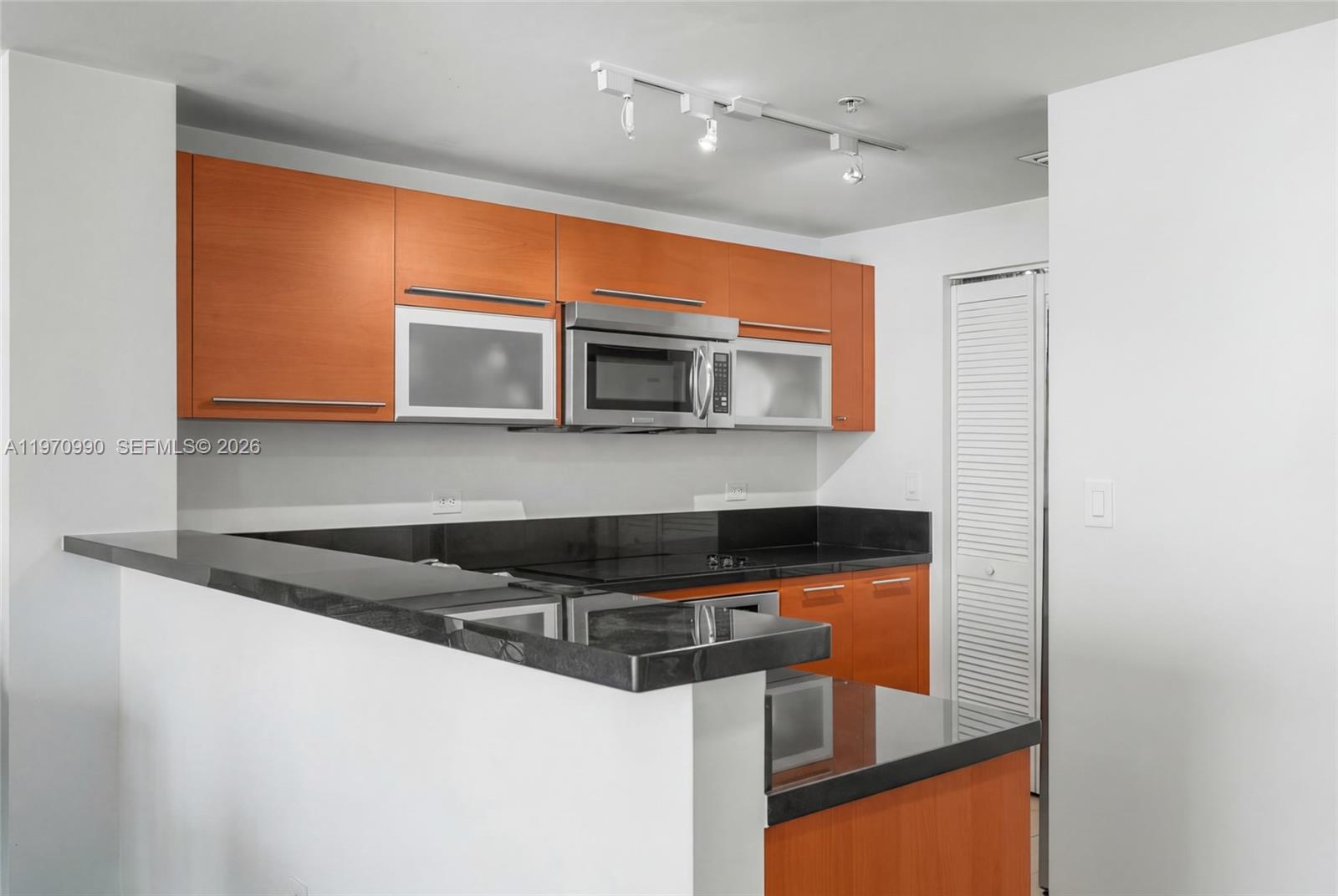 VIZCAYNE SOUTH CONDO - Residential