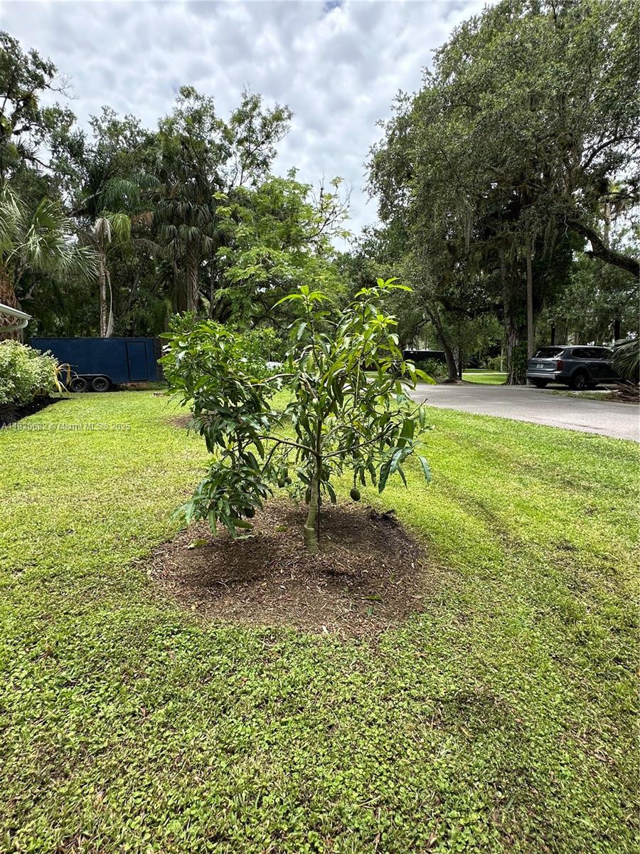 LABELLE - Residential